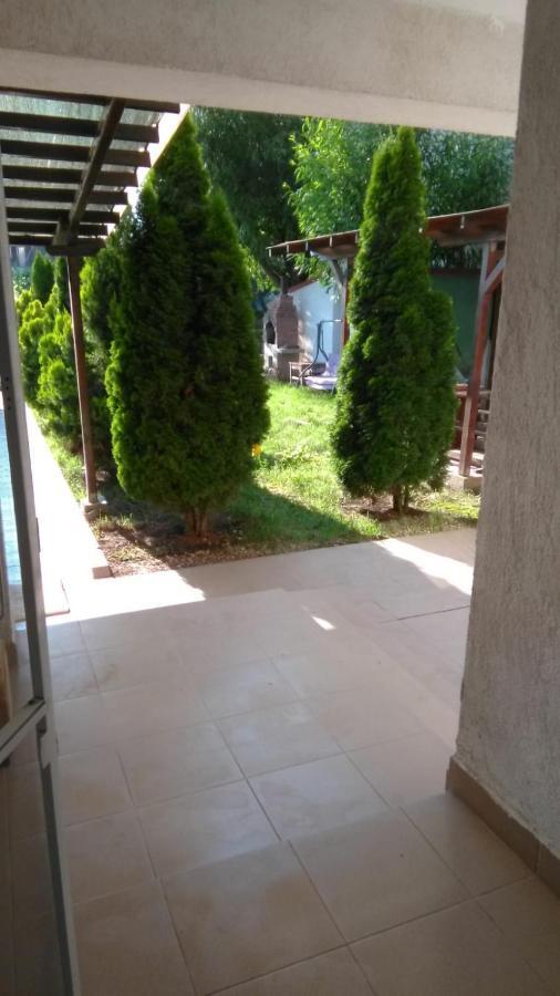 Vila Stefan Pescarusului كوستِنيست المظهر الخارجي الصورة